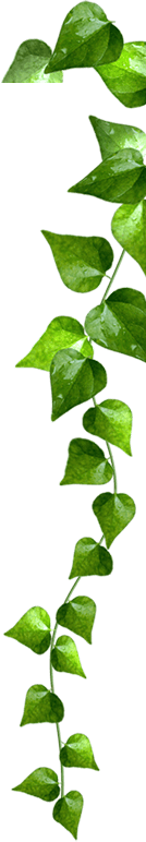 right-leaf